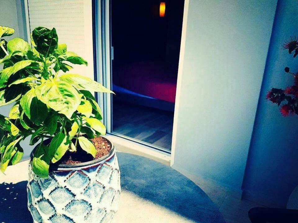 Luxury Apartments Near To The Beach 플라키아스 외부 사진