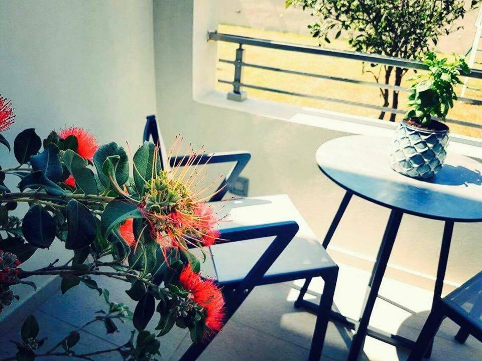 Luxury Apartments Near To The Beach 플라키아스 외부 사진